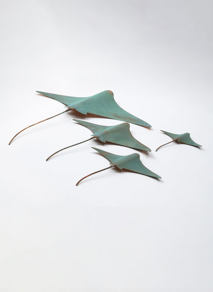 Stingray - Set of 4 