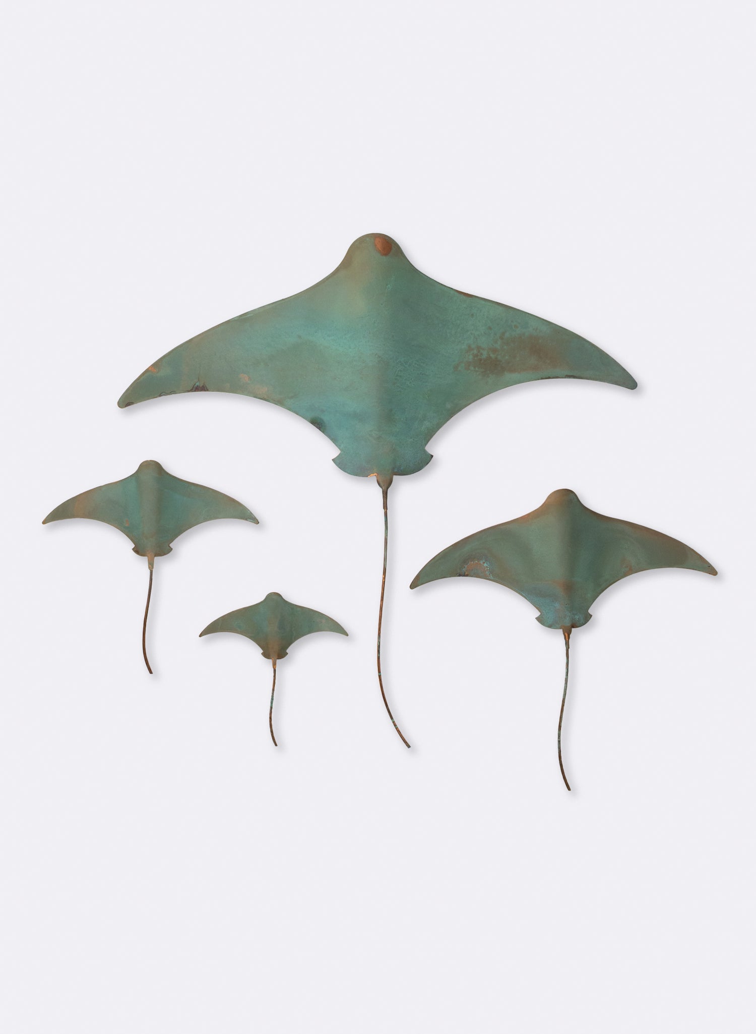 Stingray - Set of 4 