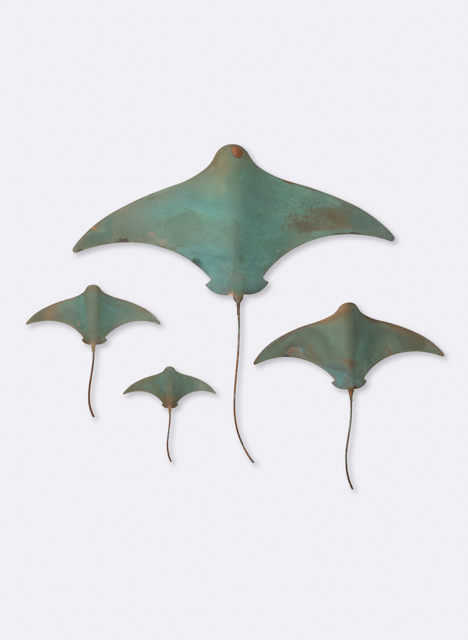 Stingray - Set of 4 