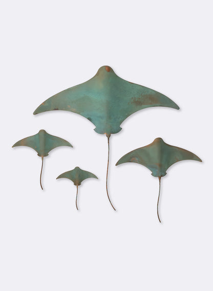 Stingray - Set of 4 