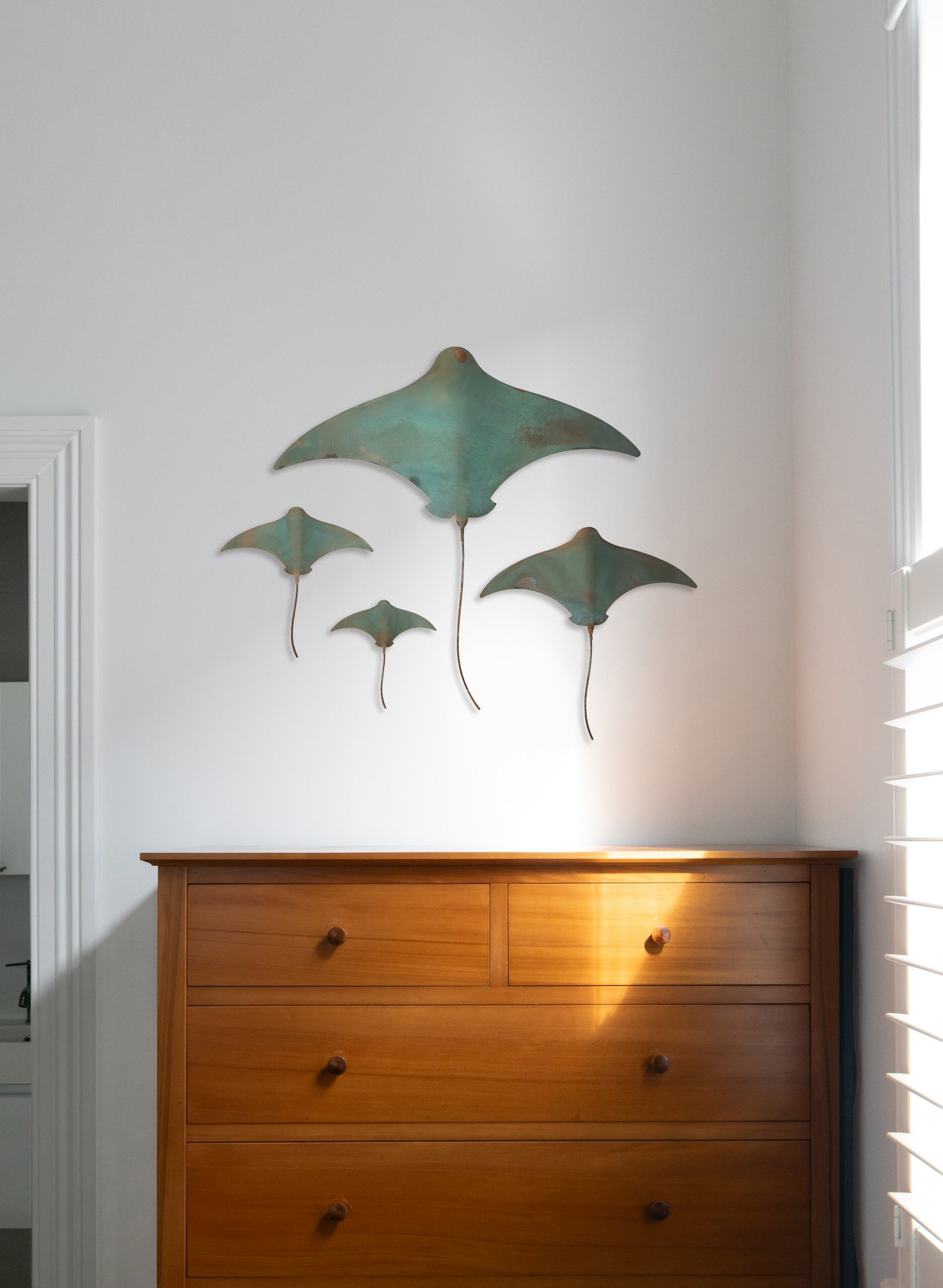 Stingray - Set of 4 