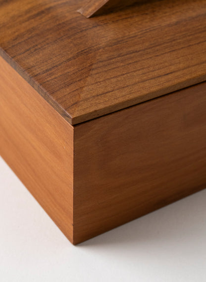 Timber Treasure Box - Rimu and Totara