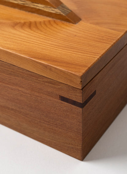 Timber Treasure Box - Matai and Totara