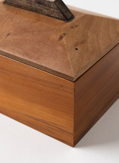 Timber Treasure Box - Red Beech and Matai