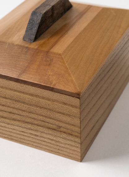 Timber Treasure Box - Rimu and Elm
