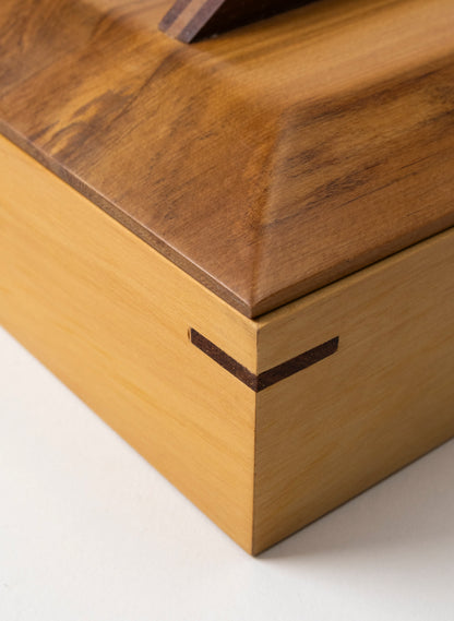 Timber Treasure Box - Rimu and Kahikatea