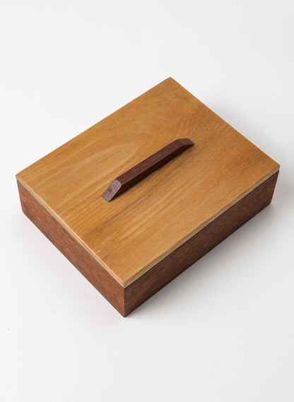 Timber Treasure Box - Kwila and Unknown Top