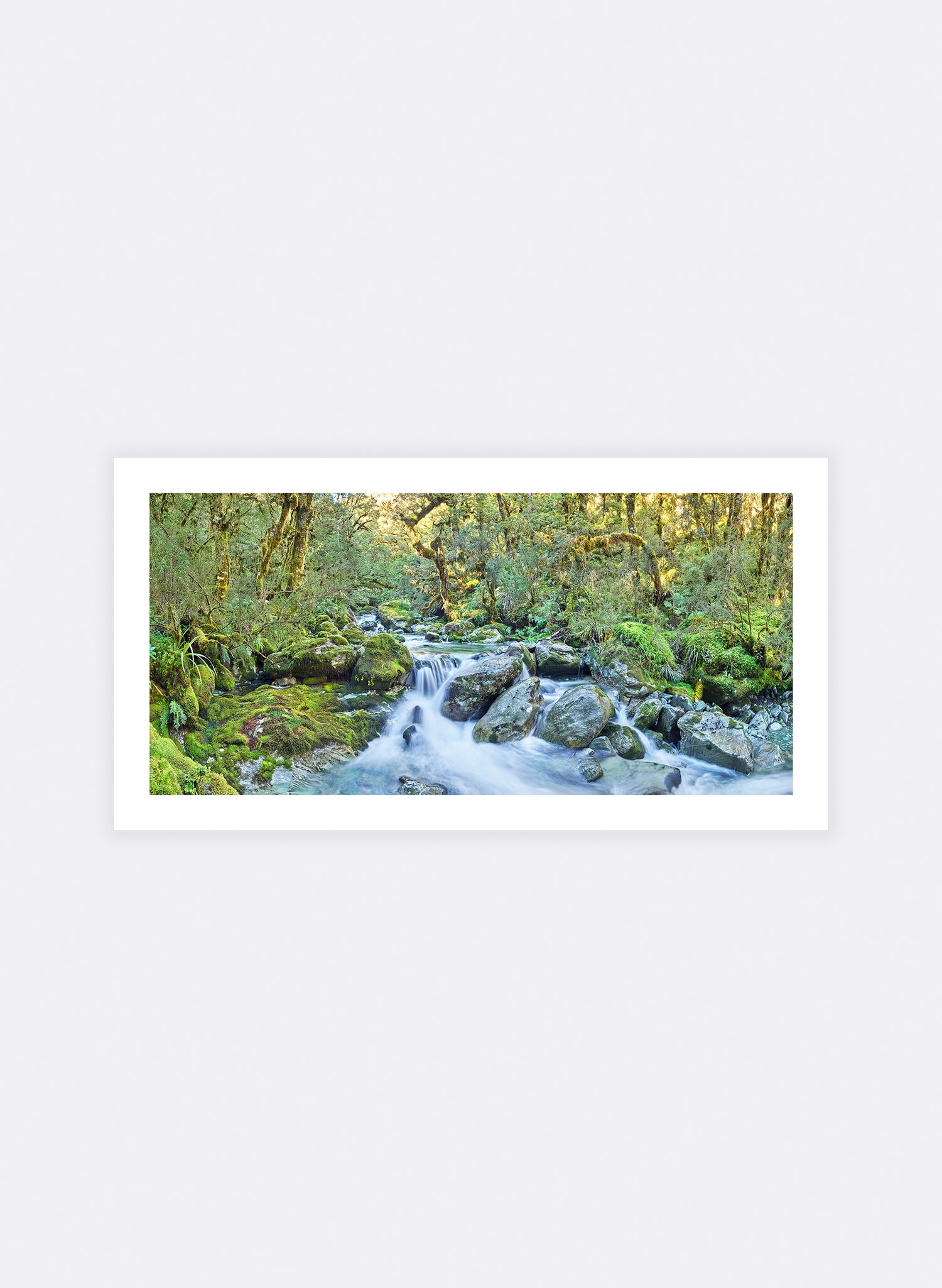 Harmony - Photographic Print