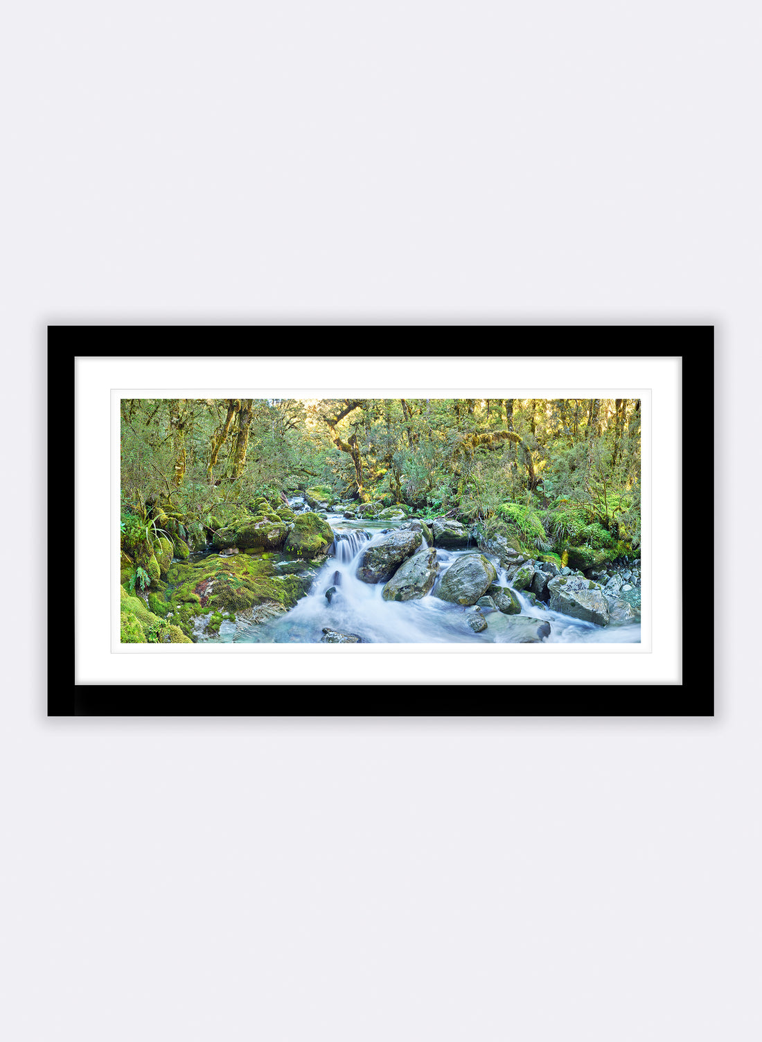 Harmony - Photographic Print