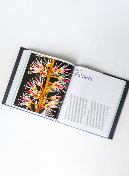 He Puāwai by Philip Garnock-Jones