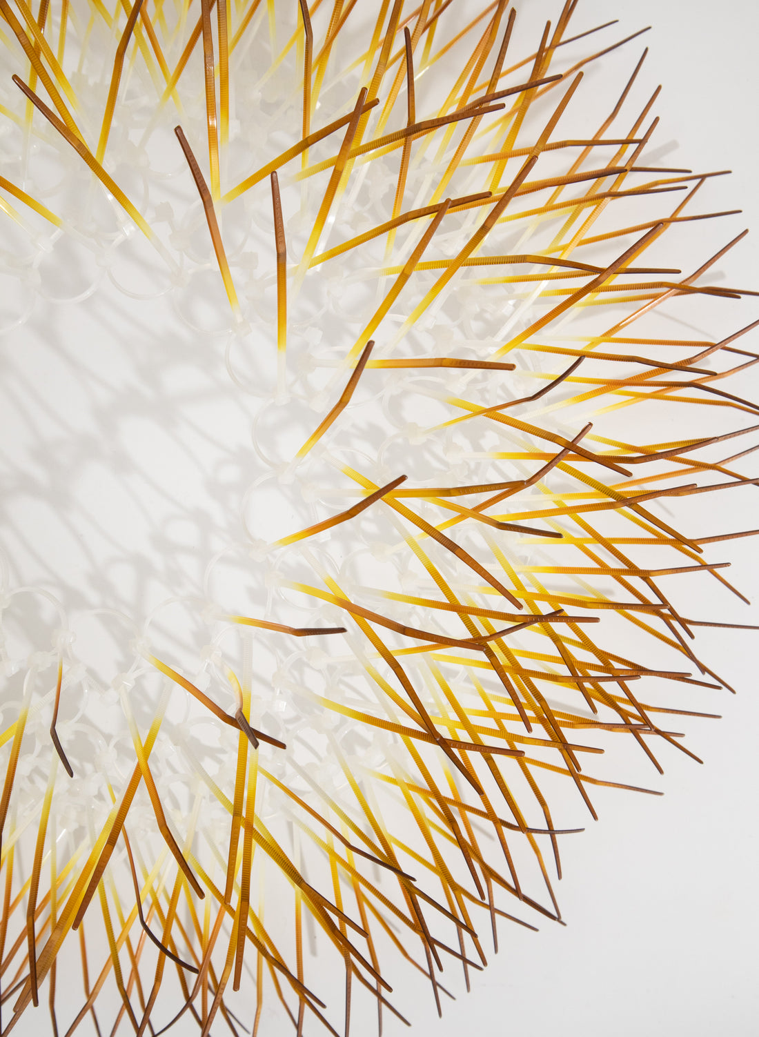Medium Kina - Ochre