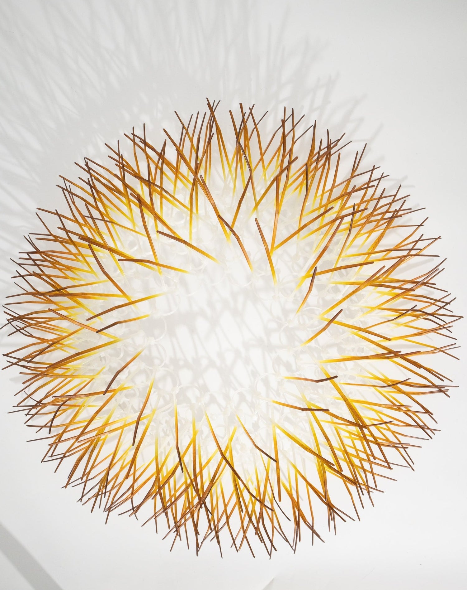 Medium Kina - Ochre
