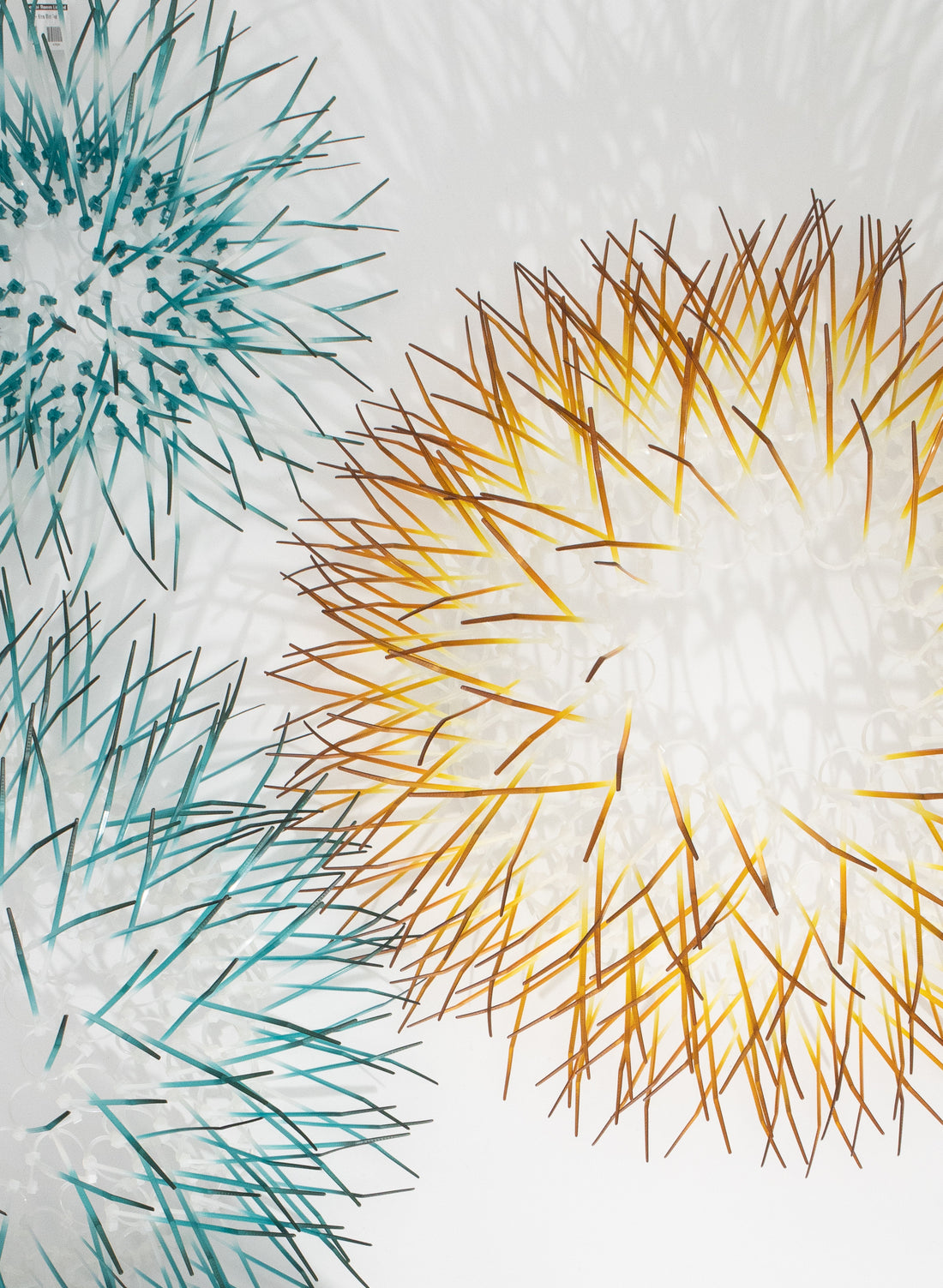 Medium Kina - Ochre