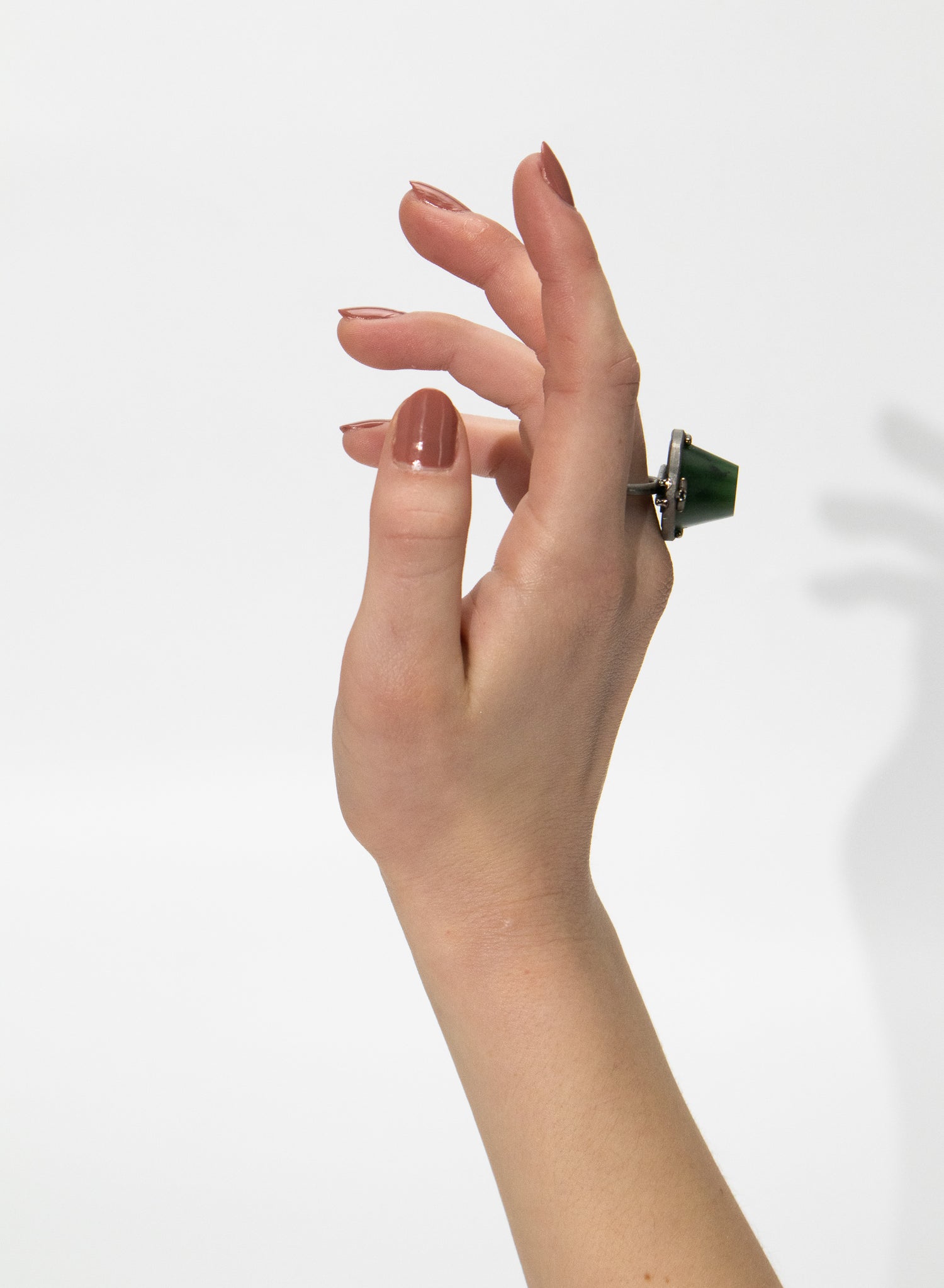 NZ Pounamu &amp; Titanium Ring