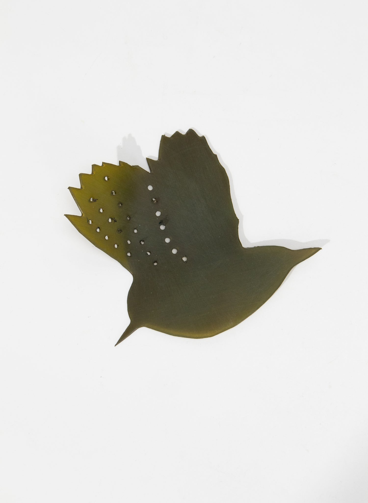 Titipounamu (Riflemen) - Set of Six
