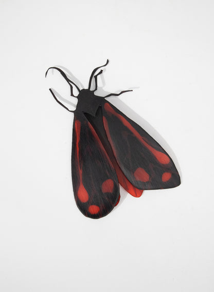 Cinnabar Moths (Red/Black)