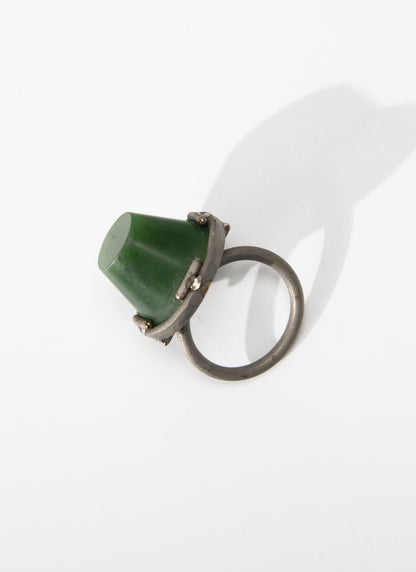 NZ Pounamu &amp; Titanium Ring