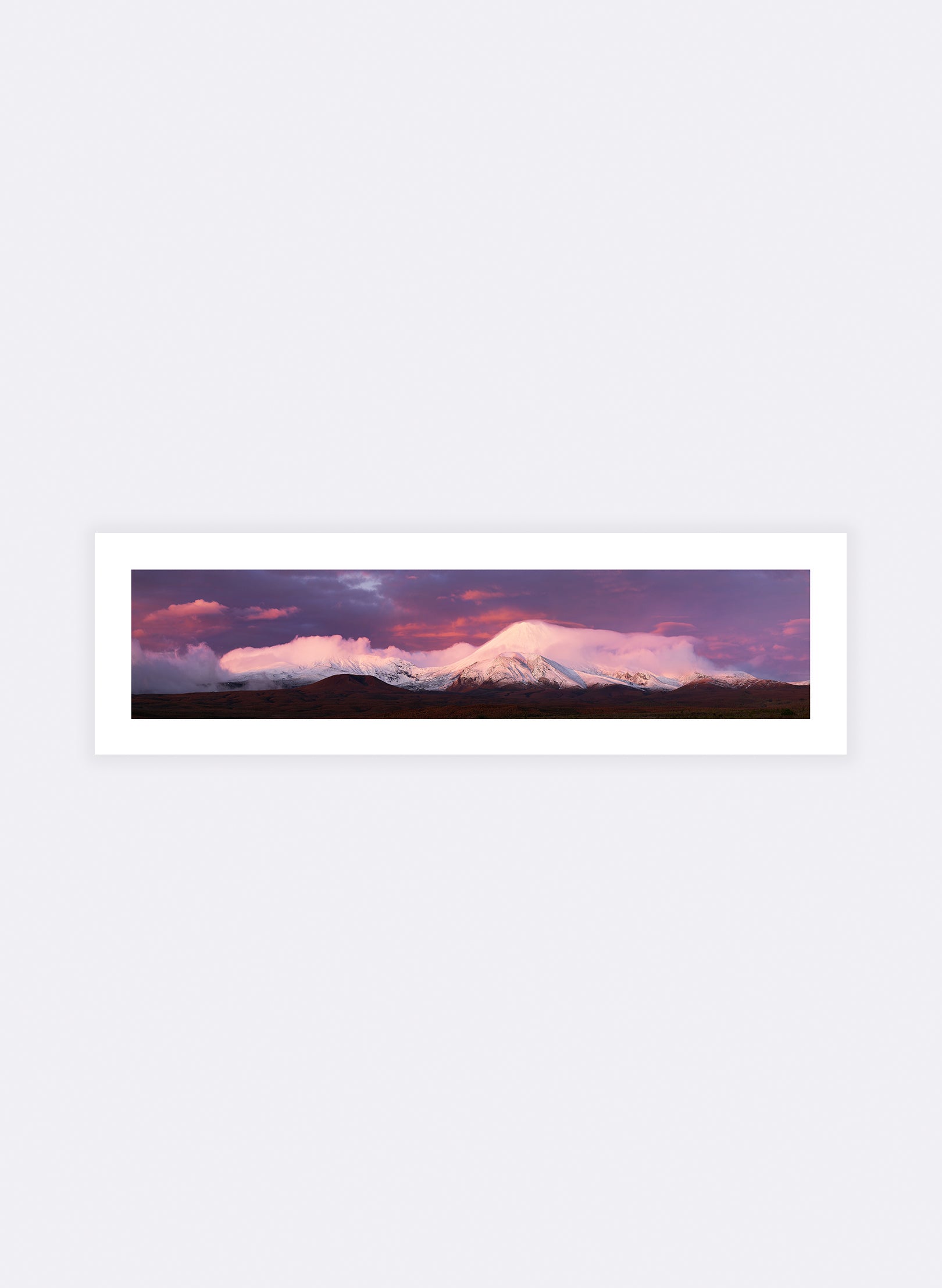 Icing On The Cake  - Photographic Print