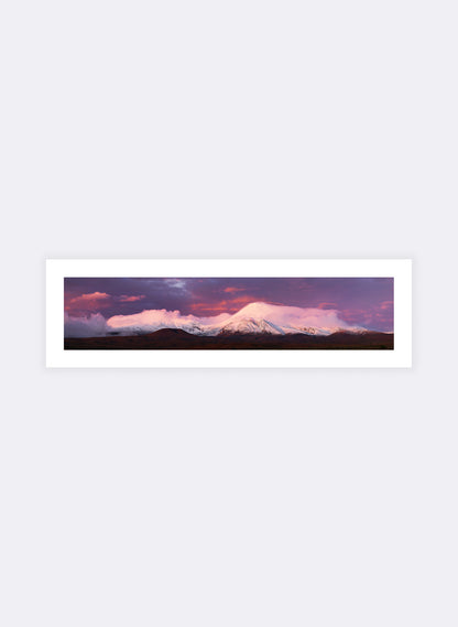 Icing On The Cake  - Photographic Print