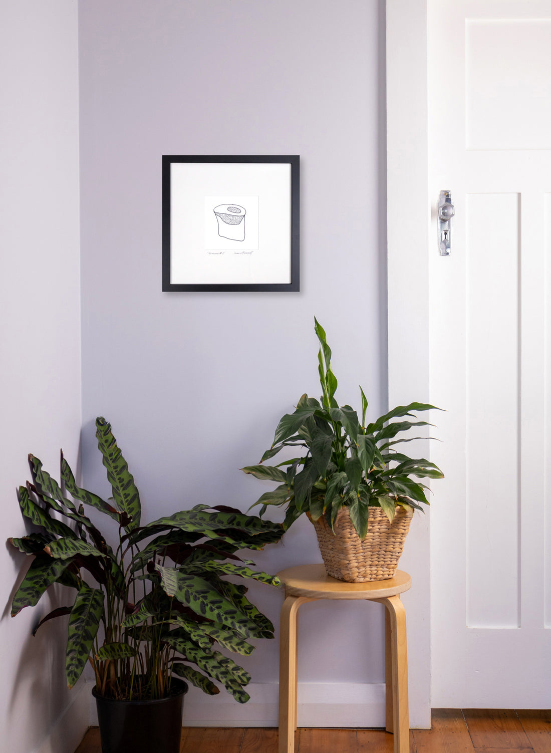 Grains Framed Print 