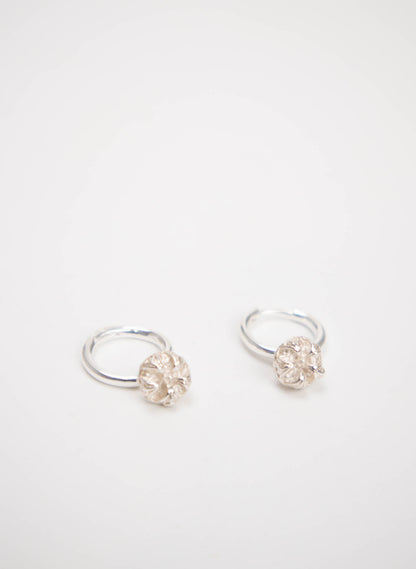 Manuka Seed Hoop Earrings