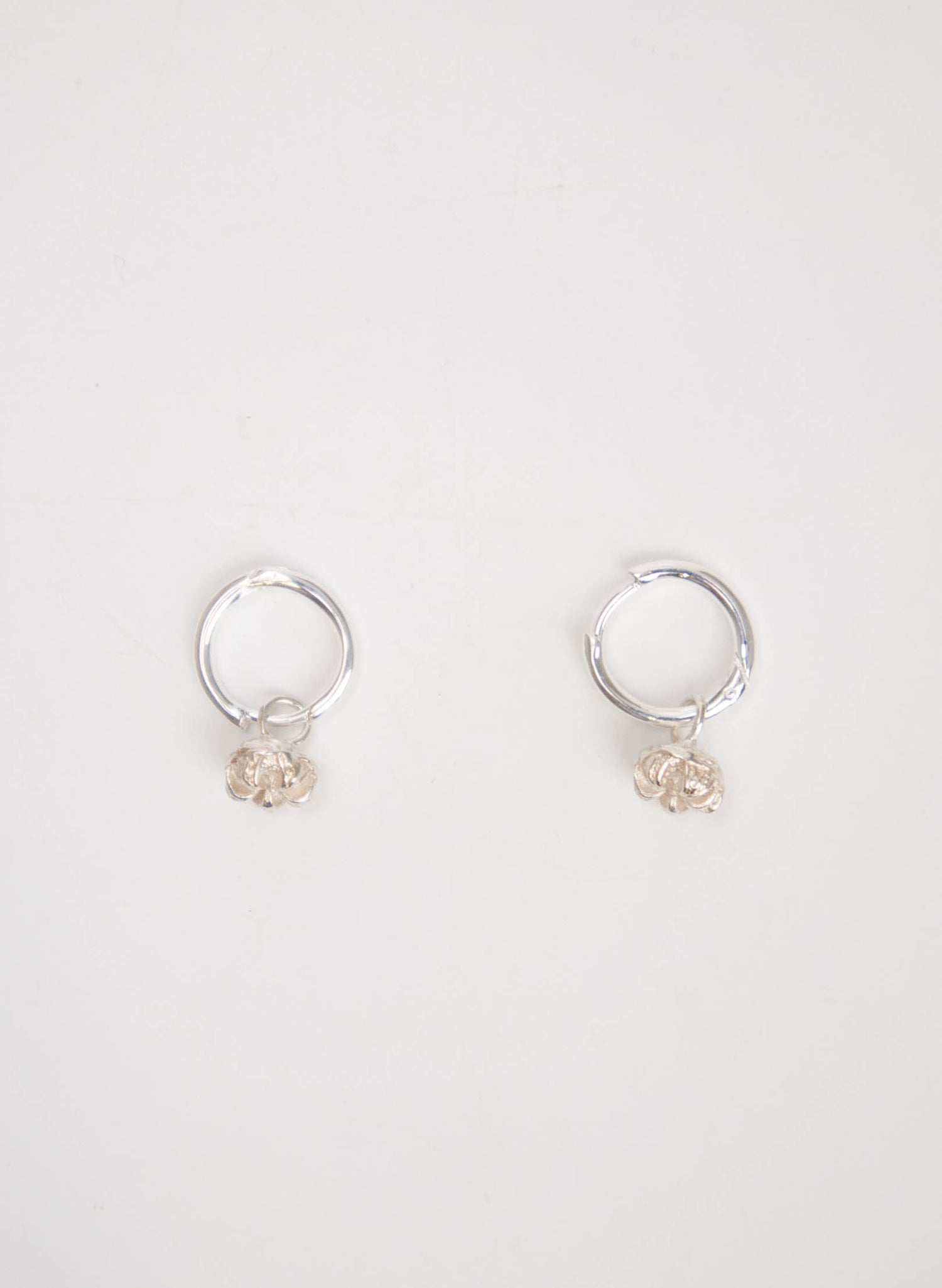 Manuka Seed Hoop Earrings