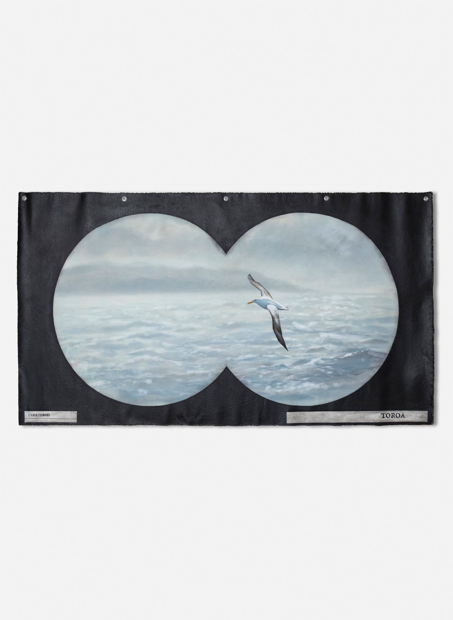 Binocular Vision Tohora