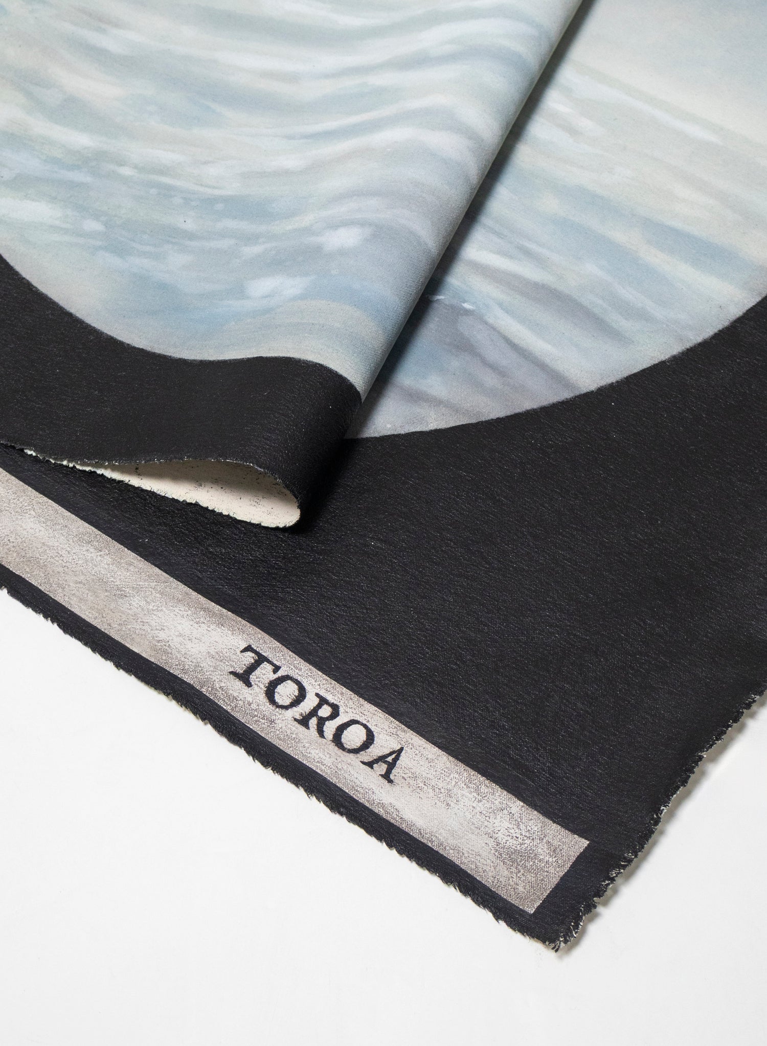 Binocular Vision Tohora