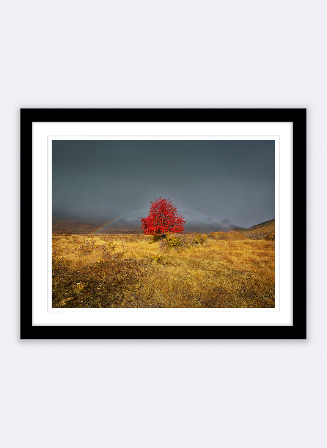 Jackpot  - Photographic Print