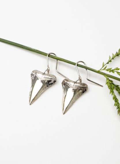Great White Tooth Earrings