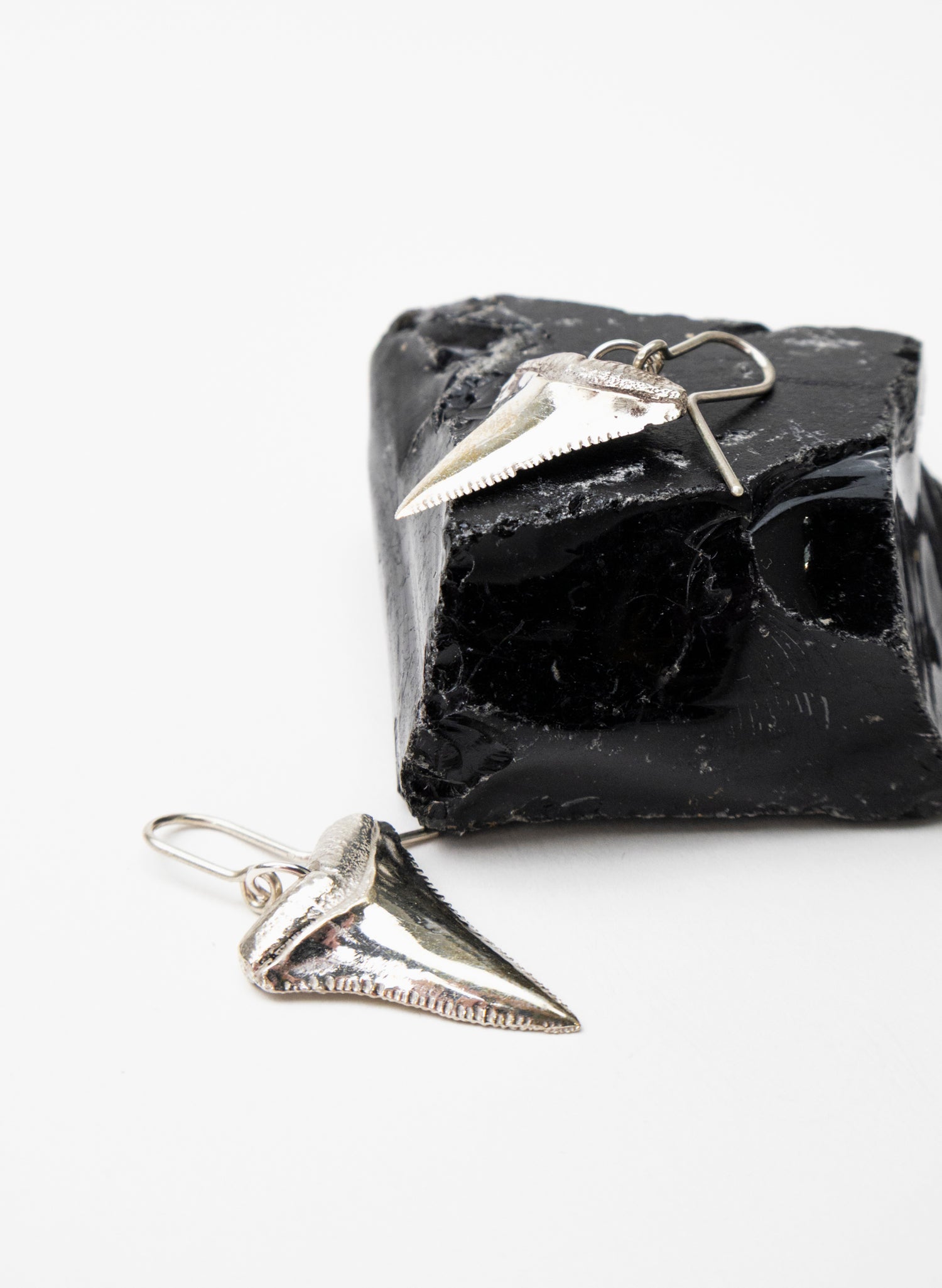 Great White Tooth Earrings