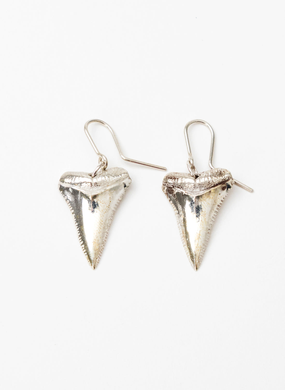 Great White Tooth Earrings