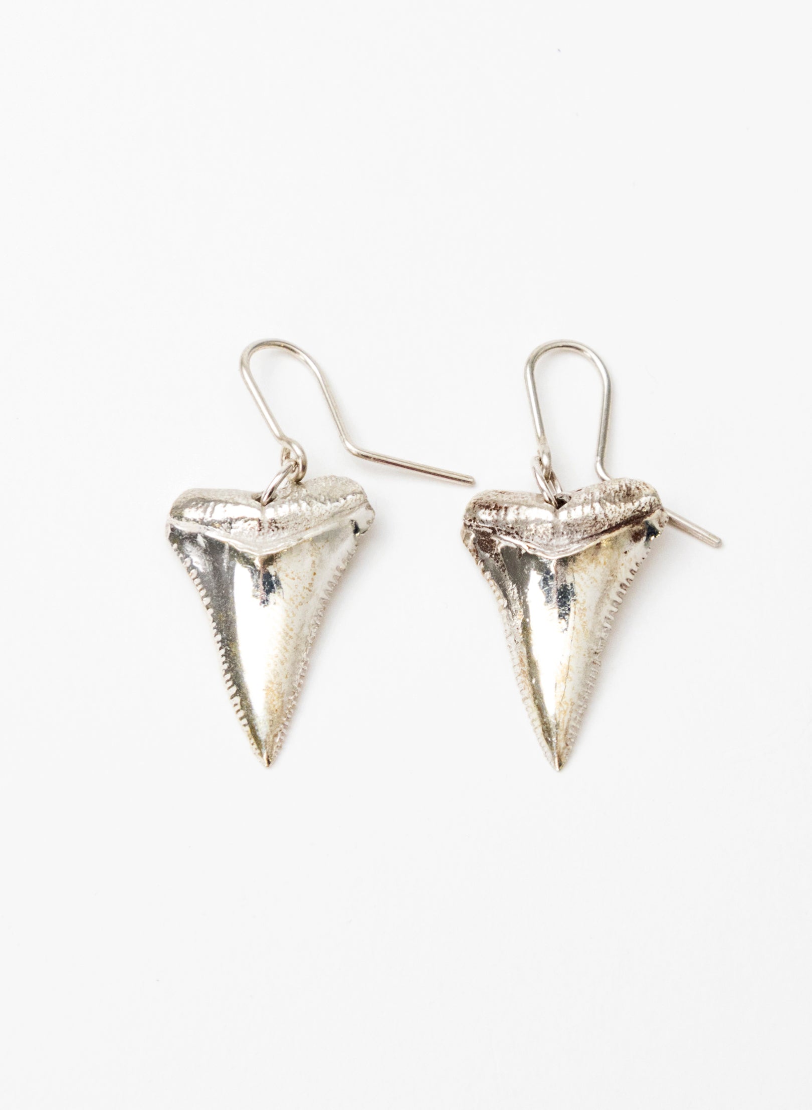 Great White Tooth Earrings