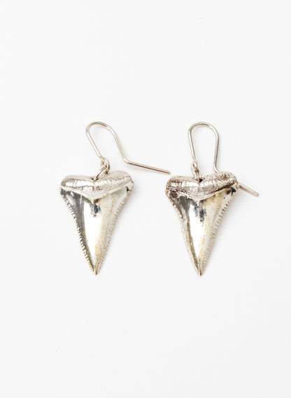 Great White Tooth Earrings
