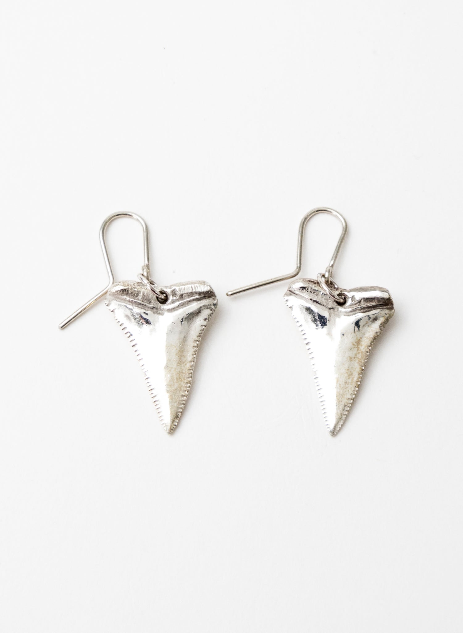 Great White Tooth Earrings