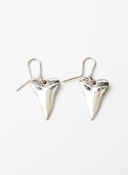 Great White Tooth Earrings
