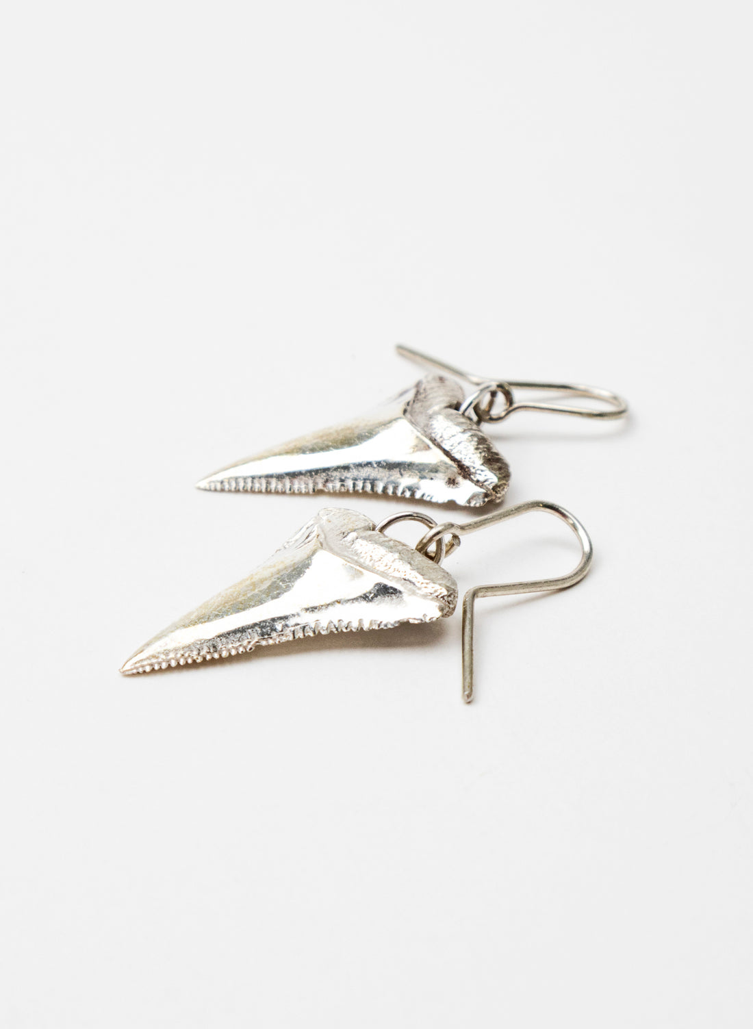 Great White Tooth Earrings