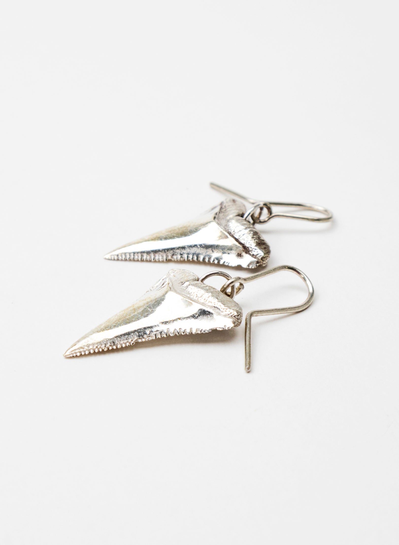 Great White Tooth Earrings
