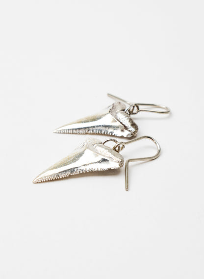 Great White Tooth Earrings