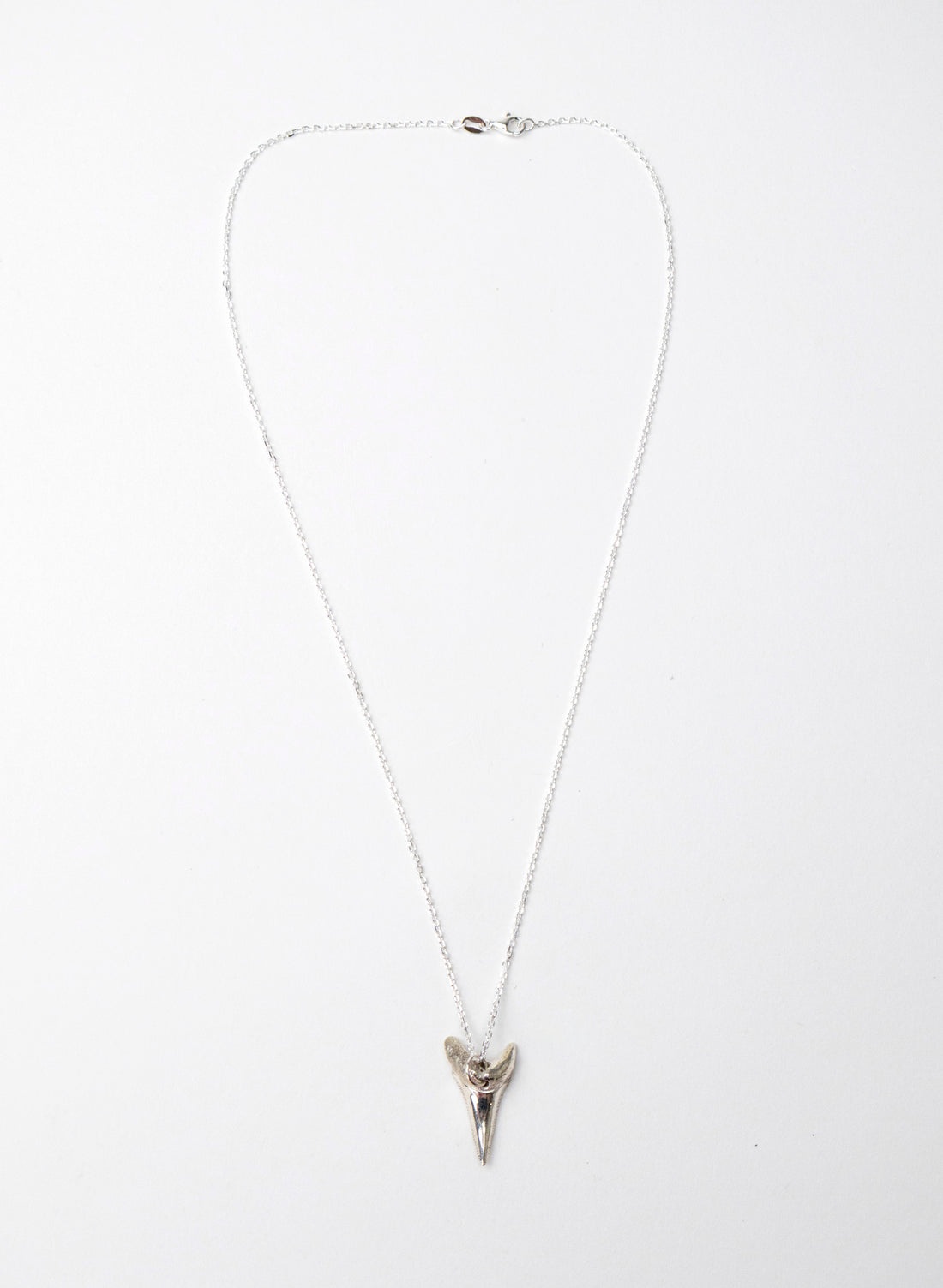 Mako Tooth Necklace
