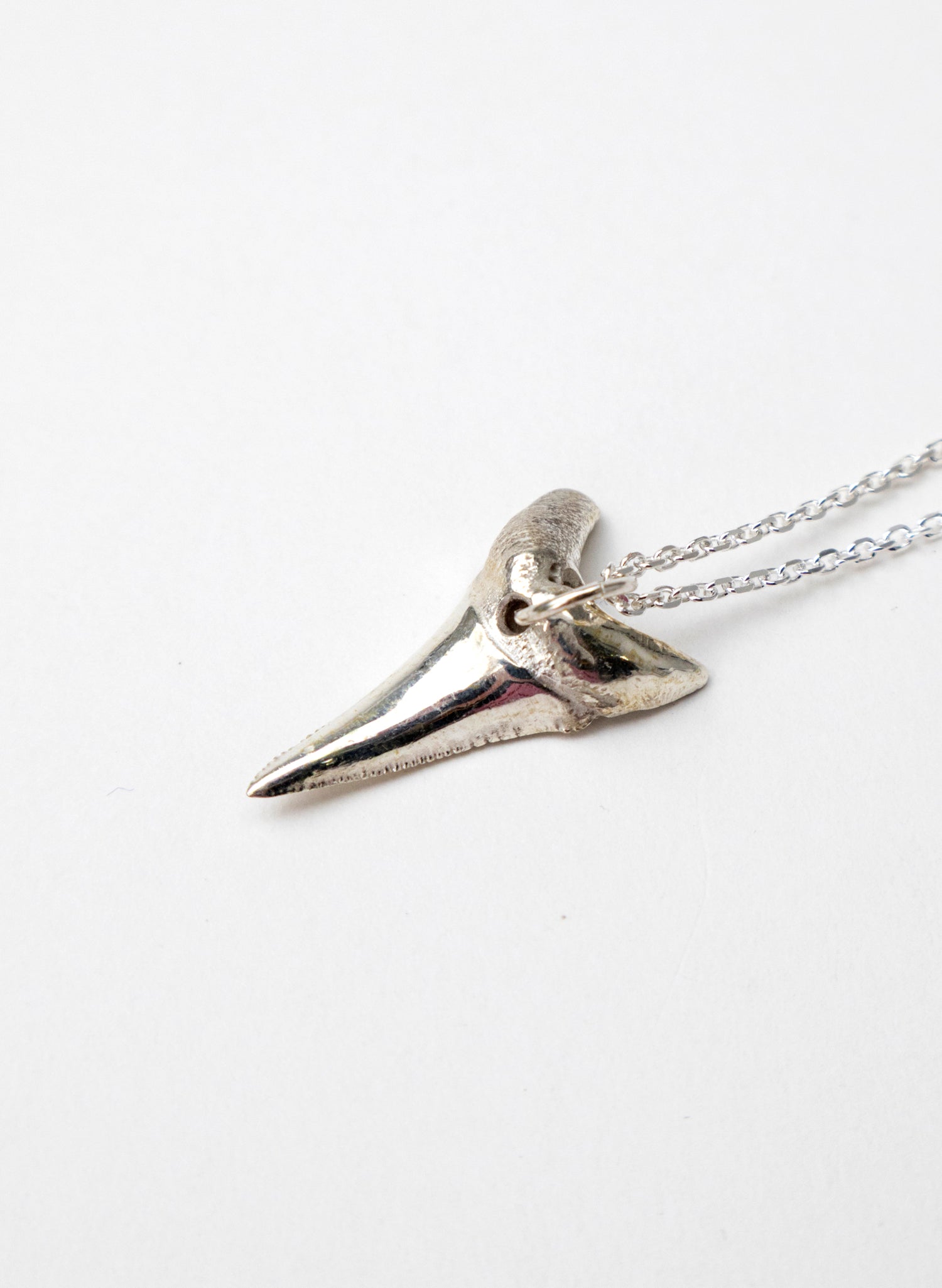 Mako Tooth Necklace
