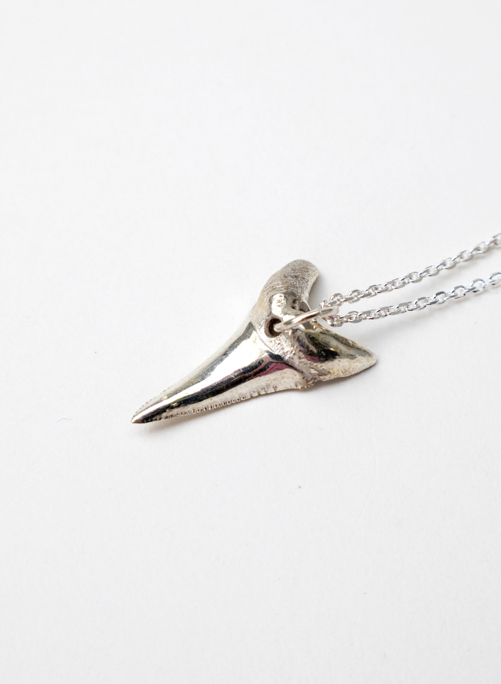 Mako Tooth Necklace