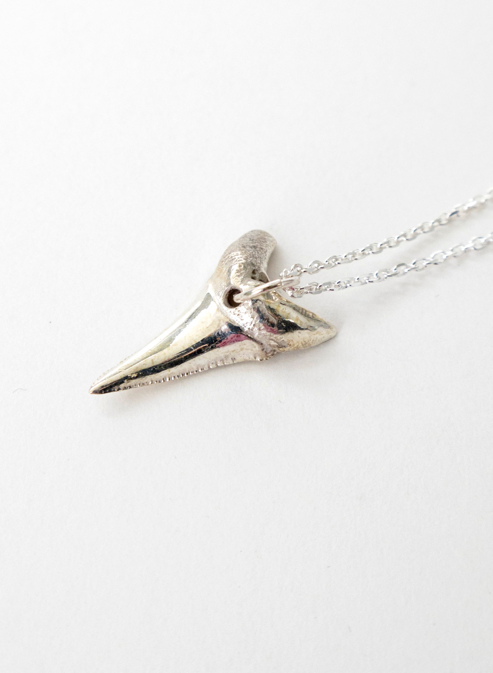 Mako Tooth Necklace