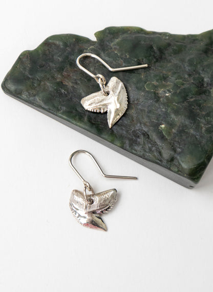 Tiger Shark Tooth Earrings