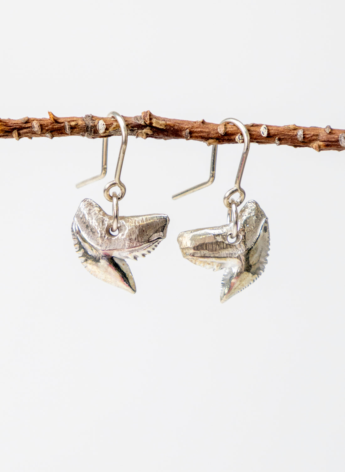 Tiger Shark Tooth Earrings