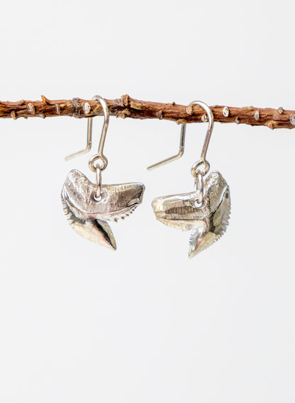 Tiger Shark Tooth Earrings