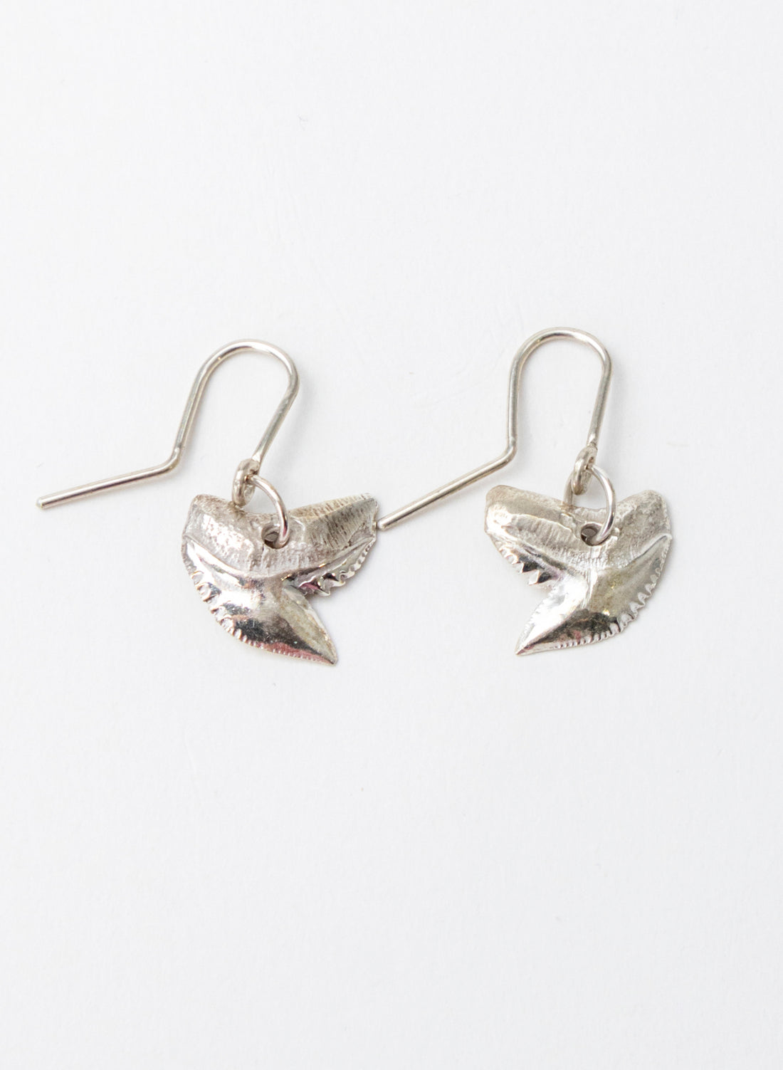 Tiger Shark Tooth Earrings
