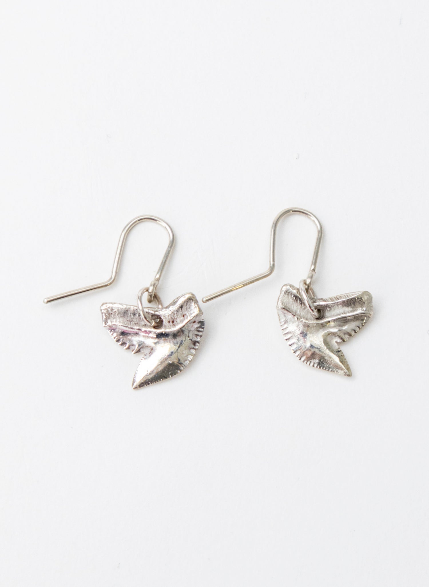 Tiger Shark Tooth Earrings