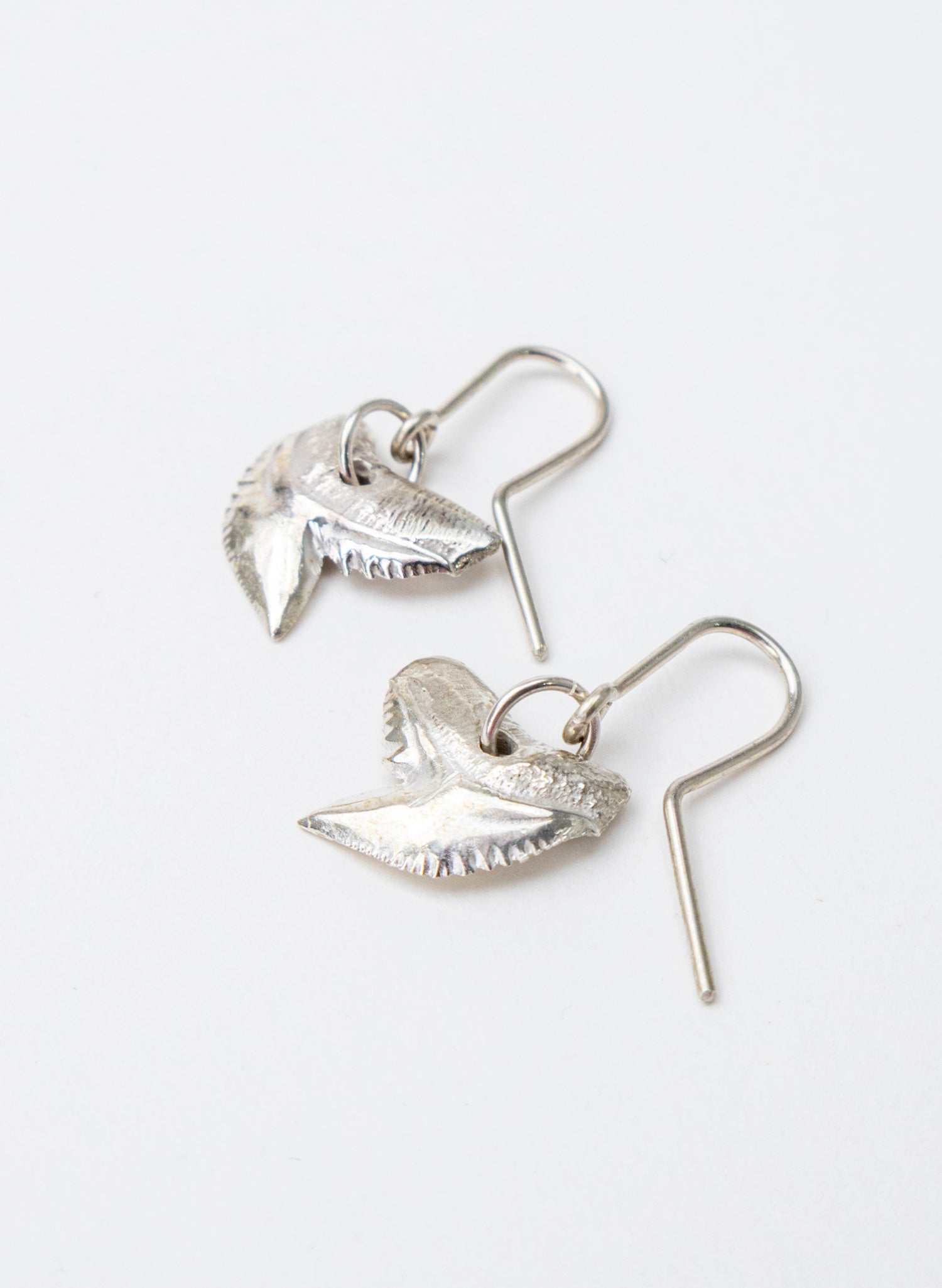 Tiger Shark Tooth Earrings