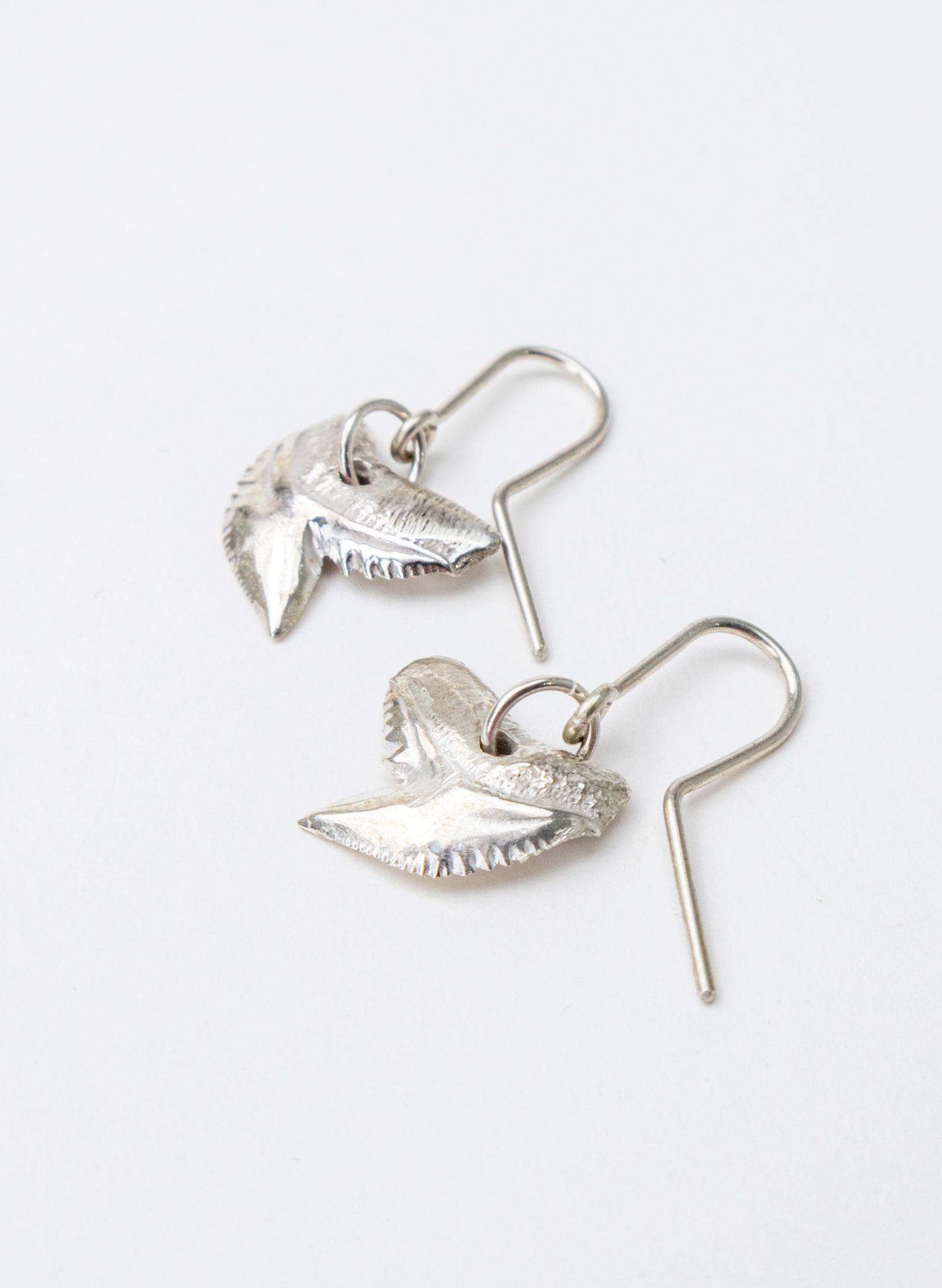 Tiger Shark Tooth Earrings